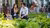 Studenten op campus