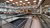 University Library
