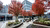Campus Woudestein with trees with red leaves and students walking through wooden benches