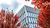 campus Woudestein