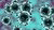 Corona virus