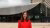 Lena Wiehe - student International Public Management and Policy