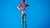 Coloured wooden mannequin