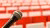 microphone in a red lecture hall