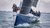 Rotterdam Offshore Sailing Team (ROST)
