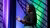 Daphina Misiedjan - Brainwash Talks - OmroepHuman - August 2021