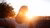 Young woman and sunset