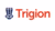 Logo of security company Trigion