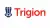 Logo of security company Trigion