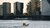 Rotterdam - skyline - Willemsbrug- havenbedrijf - water - corporate