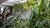 Plants in Langeveld Building.