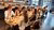 Members of DoIP during dinner