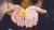 Two hands holding a little yellow flower