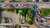 Image - Trucks Aerial View