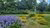 Flowers in Park Noord on campus Woudestein