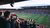Football stadium