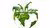 Meer biodiversiteit? Volg Executive Program Conscious Business!