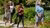 UNIC partners walking through Trompenburg arboratum