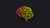 Simplified image of a human brain in pink, orange, yellow and green, on a black background