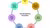 Transdisciplinary Innovation diagram