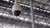 Surveillance camera