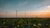 Windturbines in a field on the horizon