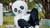 Een mascotte in de vorm van een panda ligt op een bankje met bomen op de achtergrond