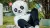 Een mascotte in de vorm van een panda ligt op een bankje met bomen op de achtergrond