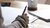 Person writing on paper with pen