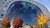 Markthal in het centrum van Rotterdam, omringd door herfstbomen.