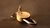 Unlocked padlock to symbolise Open Access