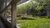 pond covered with green lilly plants with in the middle a platform with students standing on it and talking