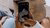 TikTok on phone screen. 