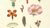 Drawings of different kinds of flowers on a beige background