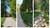 Urban greenery example