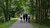 Group of students seen from the back