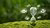 Impact Strategie Programma | Executive Program