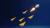 Raket
