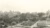 Old photo of hortus botanicus Delft