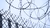 Fence.