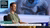 TV host in green shirt sits before a large seal face on studio screen.
