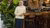 foto of girl standing in markthall