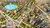 AI visualisation of Aerial panorama of a garden city with radial boulevards, tree-lined streets and fountains