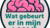 Graphic of a pink brain above the Dutch phrase “Wat gebeurt er in mijn hoofd?”