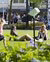Kinderen en jongeren spelen buiten in Rotterdam.