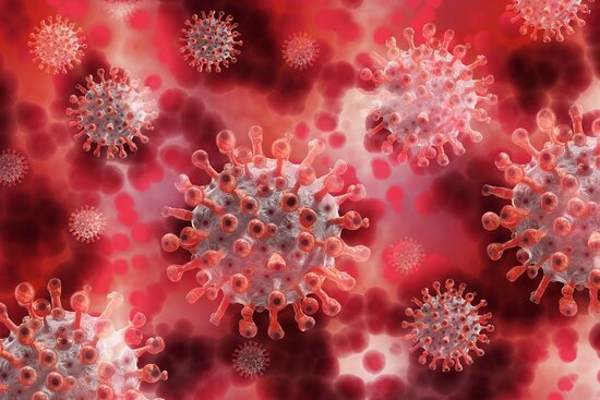 Vaccinatiepaspoort Komt Volksgezondheid Ten Goede Maar Wel Onder Enkele Voorwaarden Erasmus University Rotterdam