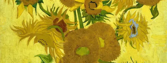 Van Gogh - de zonnebloem