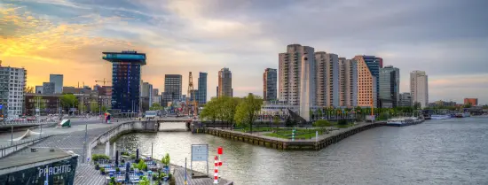 Rotterdam at the River