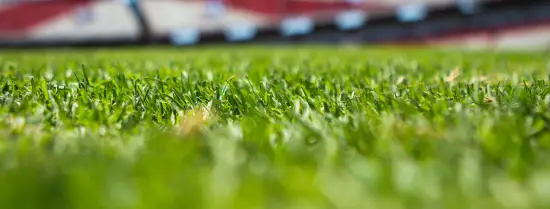 Bokeh effect on the grass in a soccer stadium