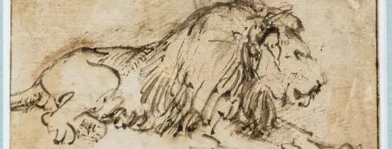 Leeuw getekend met inkt